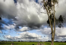 投资公司起名大气好听(精选500个)